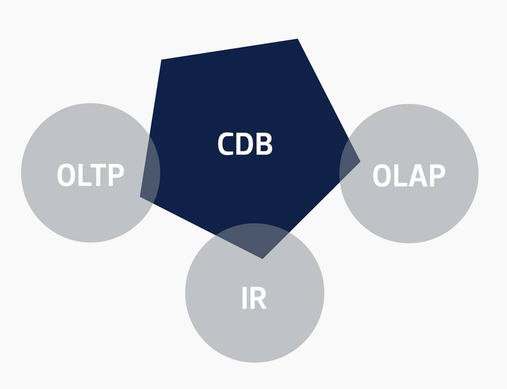 Datenbank- und Search-Engine von censhare